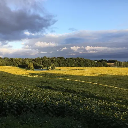 Le Petit Basket Daire
