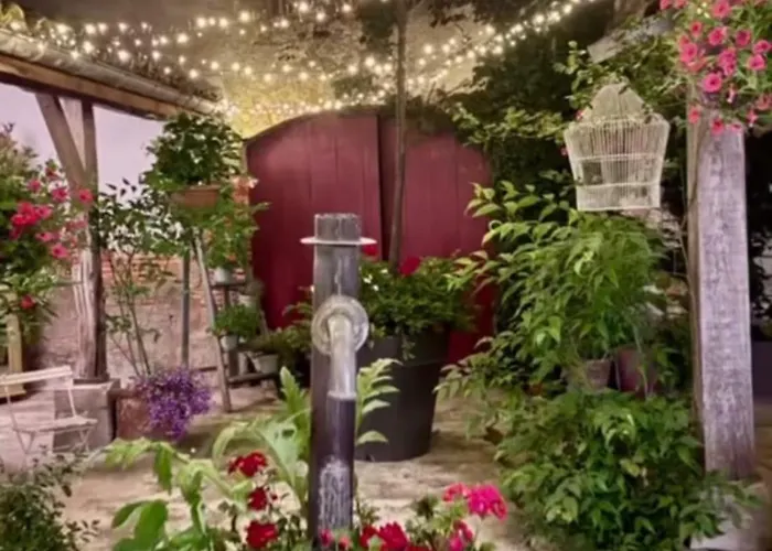 Daire Le Petit Basket