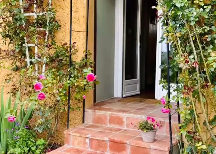 Daire Le Petit Basket *