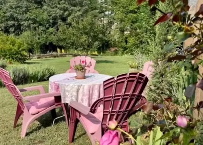 Daire Le Petit Basket