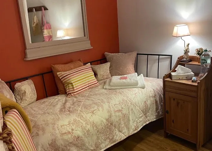 Daire Le Petit Basket *