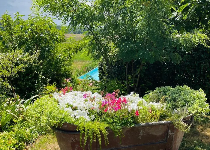 Daire Le Petit Basket