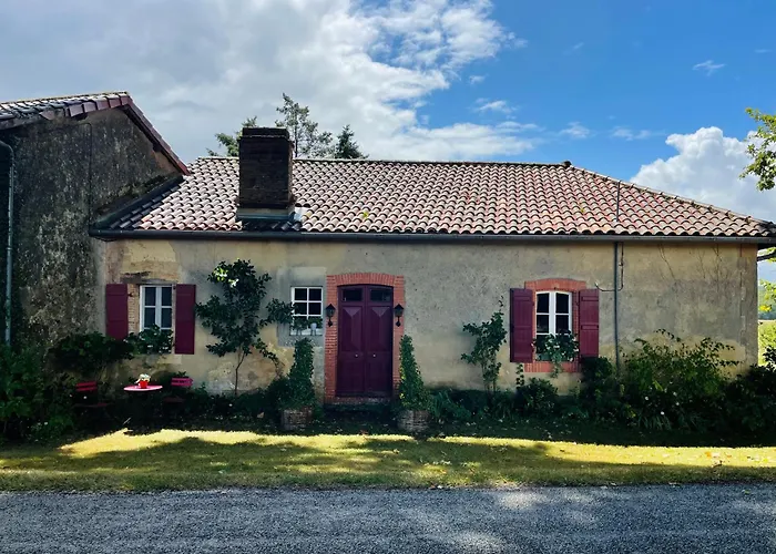 Daire Le Petit Basket