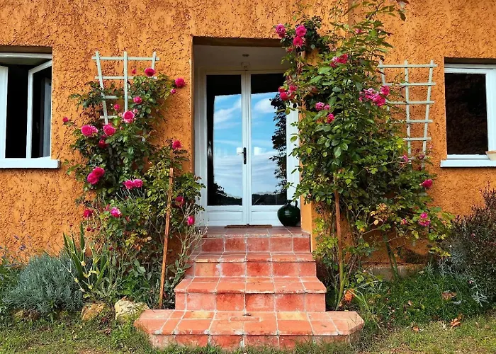 Daire Le Petit Basket *