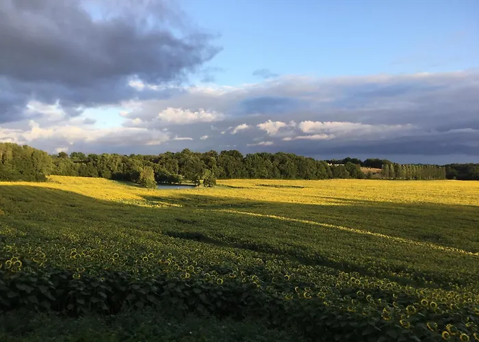 Le Petit Basket Daire