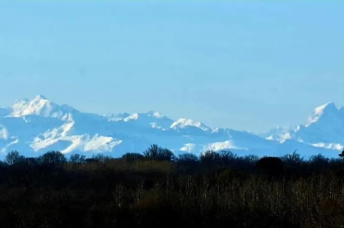 Le Petit Basket Daire *
