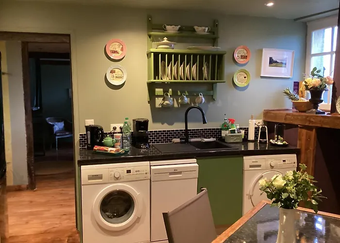 Daire Le Petit Basket *