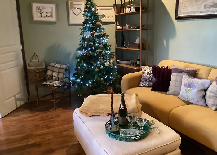 Daire Le Petit Basket *