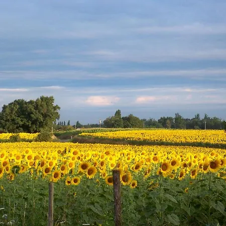 Le Petit Basket Διαμέρισμα *