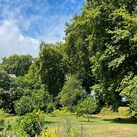 Le Petit Basket
