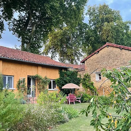 Le Petit Basket Διαμέρισμα *