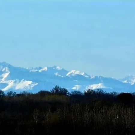 Le Petit Basket Διαμέρισμα *