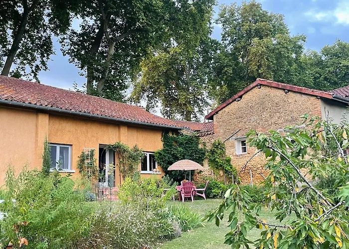 Le Petit Basket Daire *